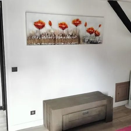 Dans Loft Partage, Cosy Et Spacieux! *