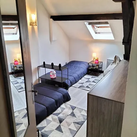 Dans Loft Partage, Cosy Et Spacieux! * Tarbes