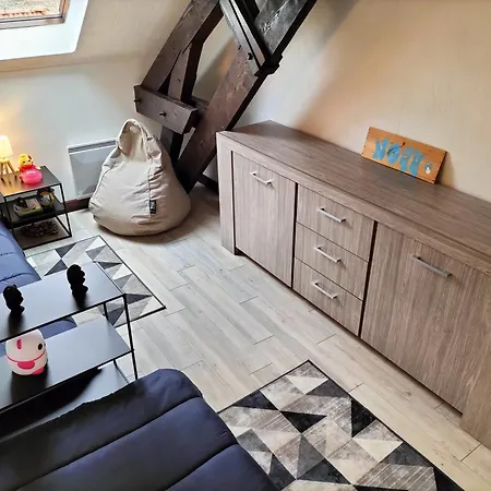 Dans Loft Partage, Cosy Et Spacieux! Tarbes