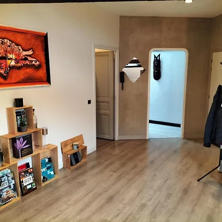 Rum i privatbostad Dans Loft Partage, Cosy Et Spacieux! Tarbes